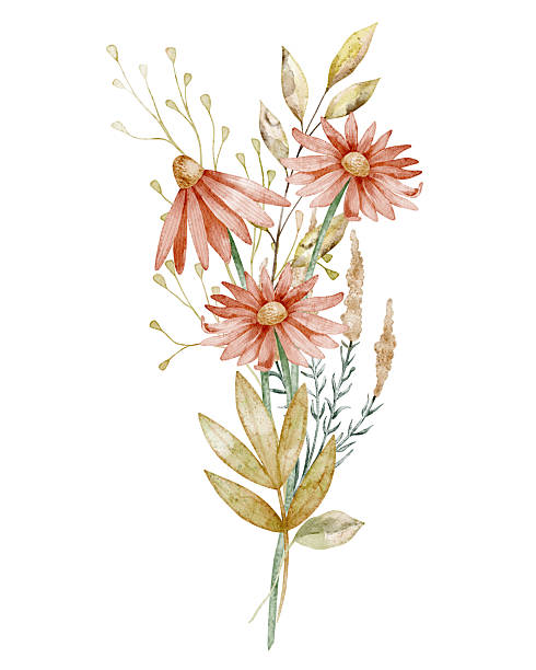 Watercolor bouquet with echinacea flowers and greenery forming a floral arrangement. Botanical Illustration with leaves for seasonal greeting cards or wedding invitations. Floral art for posters.