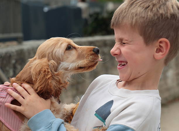Young boy and dog face to face, boy makes funny face, Soulac, Nouvelle-Aquitaine, France
