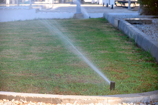 Funny garden sprinkler (in the form of a flower) watering grass in the garden.