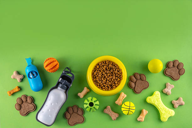 Flat lay composition with food, snacks, toys and accessories for dog Flat lay composition with food, snacks, toys and accessories for dog and cat on bright background. Pet care, dog shopping and sale concept top view copy space Pet Food stock pictures, royalty-free photos & images