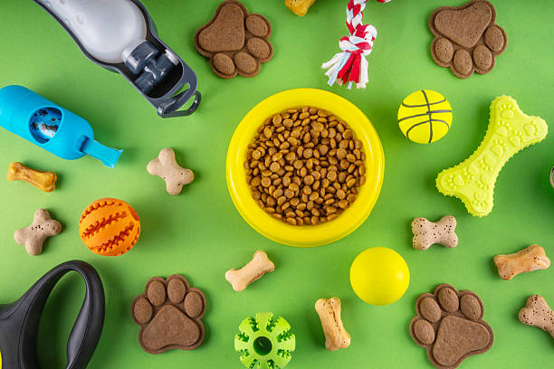 istock Flat lay composition with food, snacks, toys and accessories for dog 2236749484