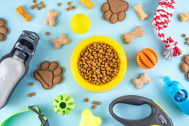 istock Flat lay composition with food, snacks, toys and accessories for dog 2236749597