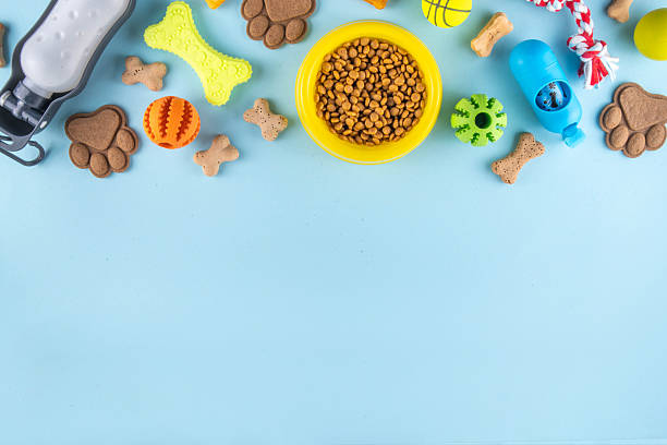 istock Flat lay composition with food, snacks, toys and accessories for dog 2236749621