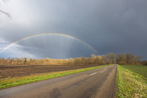 picturesque rainbow over the field. road in the middle of the field. nature of Ukraine