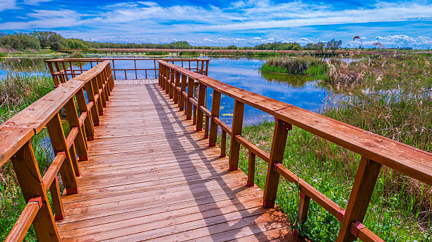 istock Tablas de Daimiel National Park, Daimiel, Ciudad Real, Castilla La Mancha, Spain 2236756480
