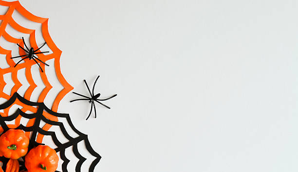 istock A black and orange spider web with pumpkins and spiders on a white background with space for text. Halloween 2236759483