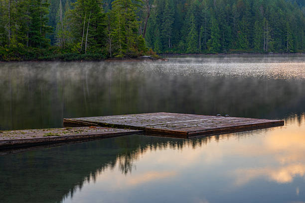 A peaceful forest landscape at twilight featuring a calm lake reflecting towering trees and the soft evening sky. A gentle mist hovers above the water, enhancing the serene atmosphere. The silhouetted trees against the dimming sky add a dramatic touch, creating a perfect scene for contemplation and immersion in natural beauty.