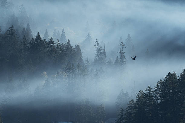 istock Foggy Mountains Gibsons BC Sunshine Coast 2236759863