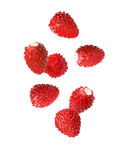 istock Fresh ripe wild strawberries falling against white background 2236760885
