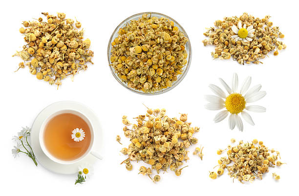istock Dried and fresh chamomile flowers and herbal tea isolated on white, set 2236760910