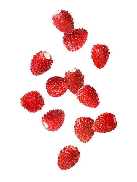 istock Fresh ripe wild strawberries falling against white background 2236760961