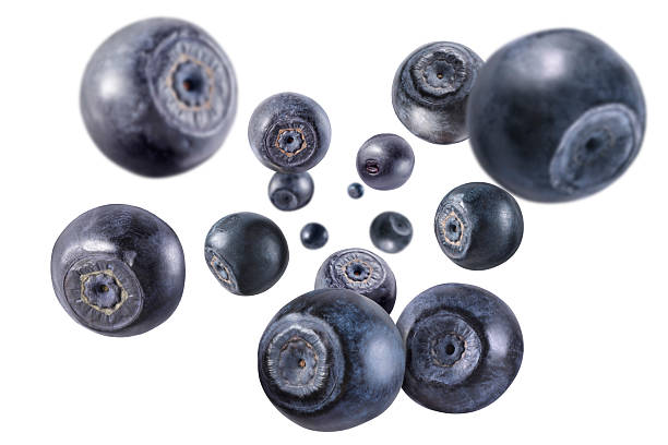 istock Fresh ripe blueberries swirling in air against white background 2236761131