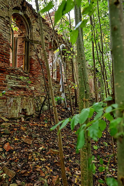 istock Ruins of an ancient mansion in the forest 2236761592