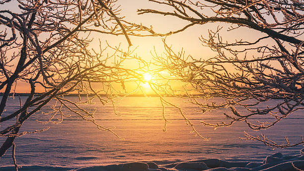 istock Frosty branches frame glowing sunrise over frozen landscape 2236762341