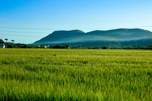 A scenic landscape in Mallorca, Spain, featuring a lush green field, dramatic cloud formations, and mountain ranges in the background. Peaceful Mediterranean countryside, ideal for travel, tourism, and nature concepts