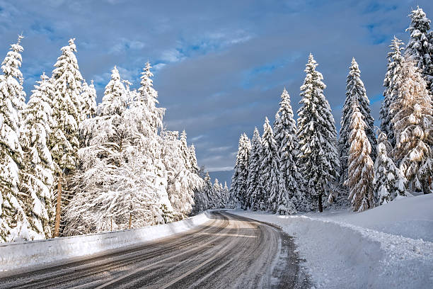 istock Curved road in winter tree forest 2236771117