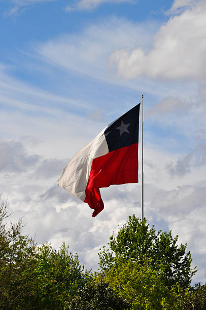 istock Beautiful Chilean flag waving in the wind 2236785309