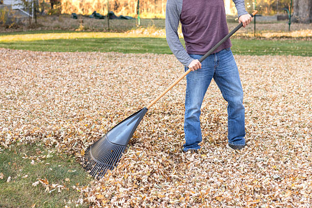 istock Raking fallen leaves in the yard 2236785368