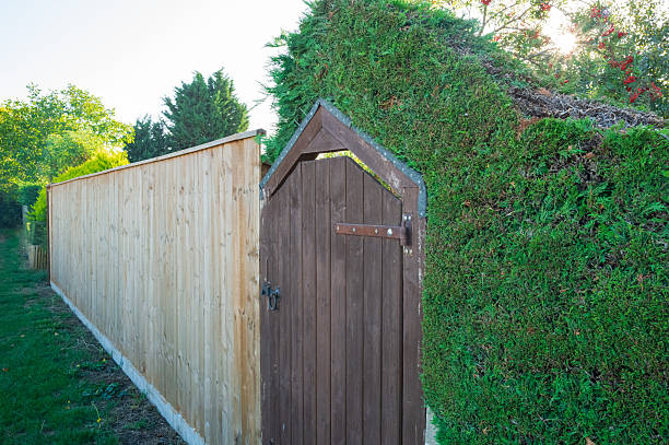 Recently pruned hedge seen surrounding a wooden garden gate that leads from the enclosed garden to a public bridle way seen in the left.