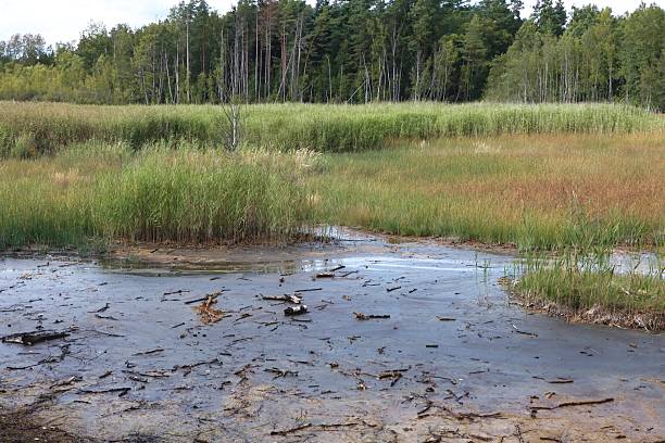 istock SOOS nature reserve hot mud volcano 2236788126