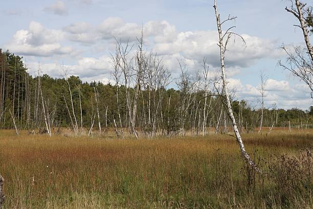 istock SOOS nature reserve hot mud volcano 2236788400