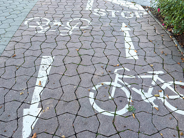 istock Bicycle lane signage on paved pathway with white markings and stop sign 2236788752