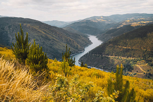 Picturesque autumn view of river winding through Asturias mountains, with golden vegetation in foreground, pine trees, rolling green hills and layered peaks under cloudy sky