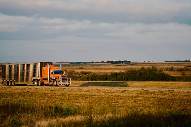 A large freight truck drives along a prairie highway in Saskatchewan, Canada, with wide open farmland and distant vehicles under dramatic evening light.