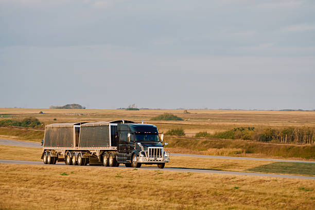 A large freight truck drives along a prairie highway in Saskatchewan, Canada, with wide open farmland and distant vehicles under dramatic evening light.