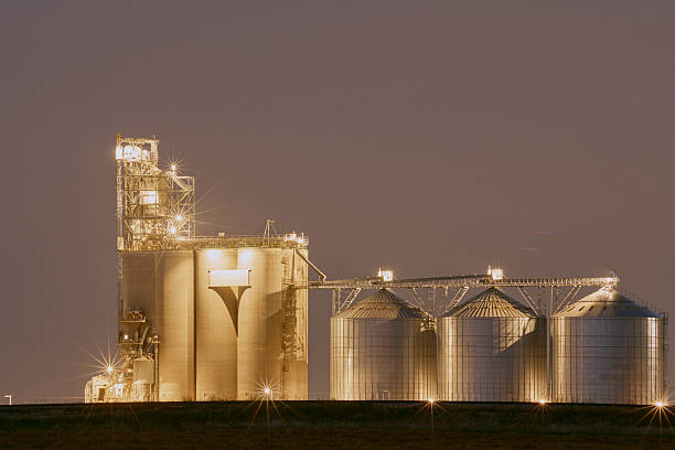 Illuminated grain silo and processing facility in Saskatchewan at night with industrial equipment and twilight sky.