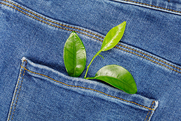 istock a branch with green leaves in a jeans pocket 2236804192
