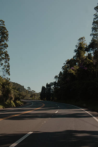 istock Road Curves Through Lush Green Forest 2236806326