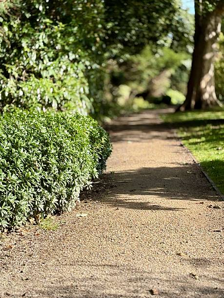 istock A sunlit garden path winds through lush green foliage and trees, creating a tranquil and inviting atmosphere. Dappled light plays on the gravel trail, perfect for a peaceful nature walk or escape. 2236808379