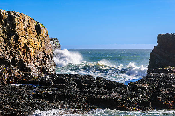 Ocean Waves crashing along California Coast, seen through the rock formation Davenport Crack.Taken at Davenport Crack, Davenport, California, USA