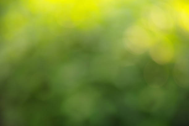 Soft, green, and abstract nature background featuring a smooth botanical texture with bright light reflections resembling bokeh. Ideal to express serenity, freshness, or organic and eco-friendly themes in designs.