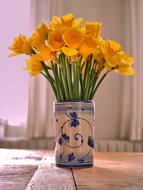 istock A bouquet of Daffodils 2236823264