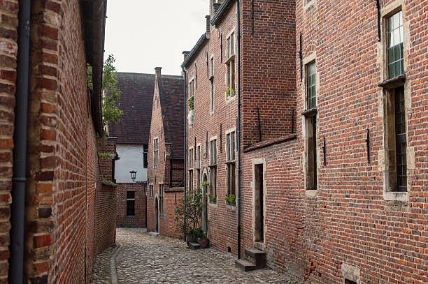 istock Groot Begijnhof in Leuven 2236825277