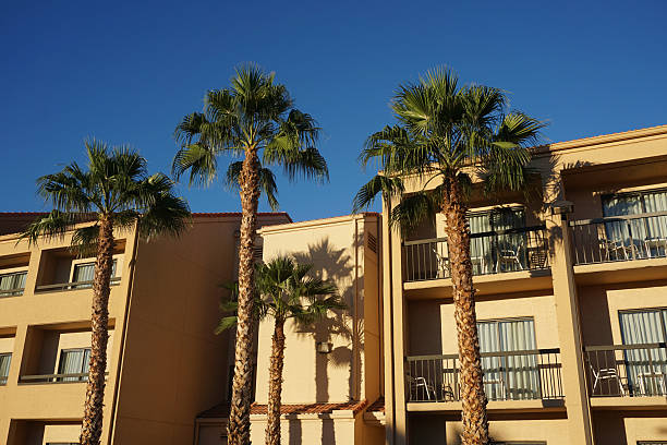 istock rental apartment buildings in a row with palm tree 2236827137
