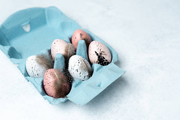 istock Speckled Easter eggs with feathers  in a blue carton 2236827240
