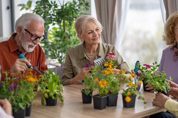 istock Seniors Working Together on Beautiful Flower Arrangements 2236829380