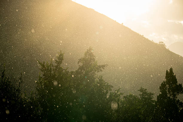 Photograph taken in Brazil showing rain illuminated by sunlight against a mountain slope. The golden light creates a shimmering effect as raindrops fall over the green treetops, highlighting the contrast between the bright sky and the darker silhouette of the mountain.