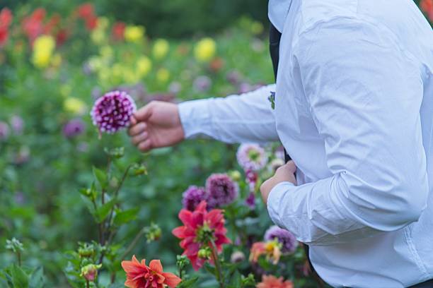 istock Admiring the Dahlias 2236833188