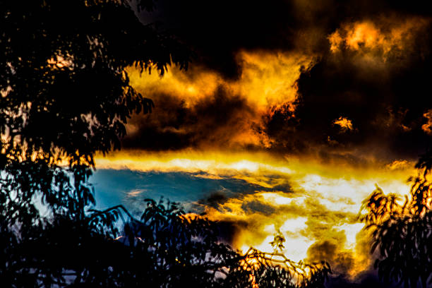 A serene view of silhouetted trees against a dramatic, cloud-filled sky at sunset in Sydney, NSW, Australia. (Photo by Tara Chand Malhotra)