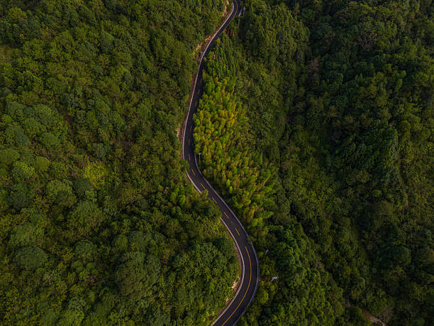 istock Aerial View of a Winding Road Cutting Through a Dense Forest Canopy 2236837787