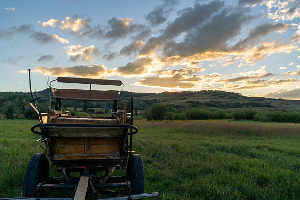 Ronks, Pennsylvania, USA -June 20, 2024-  An Amish farmer in a traditional straw hat makes some adjustments to a piece of farm equipment behind his team of horses in a wheat field on a sunny June morning.