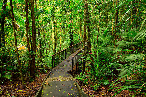 istock Jum Rum Creek hiking 2236847903