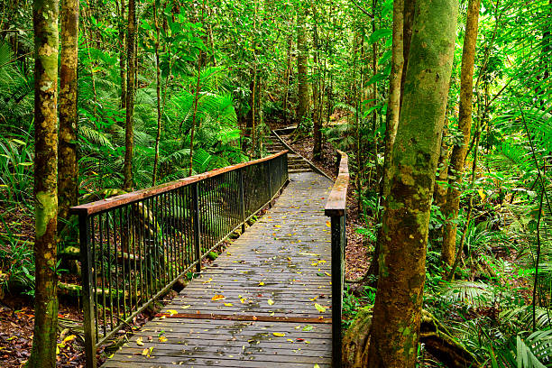 istock Jum Rum Creek hiking 2236847904
