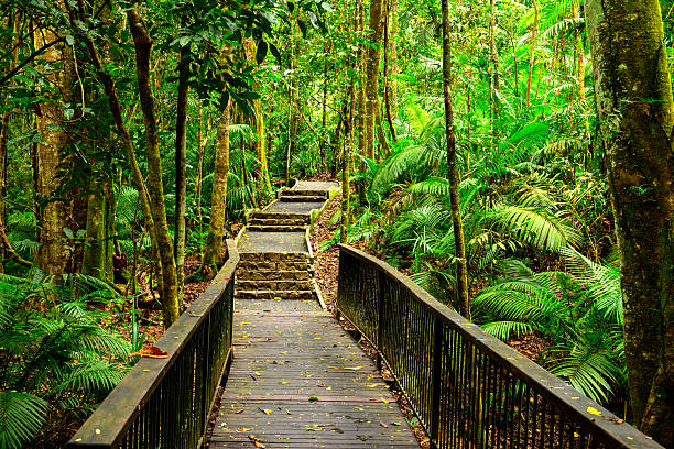 istock Jum Rum Creek hiking 2236848006