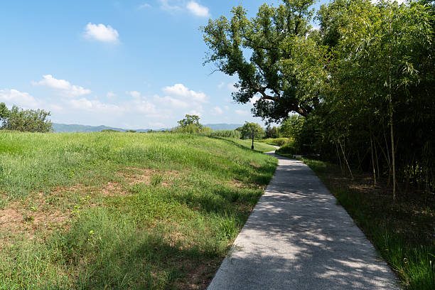 street in city park
