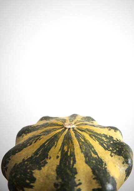 Hand holding a single Japanese heirloom pumpkin against a white background. Mature orange ribbed squash.